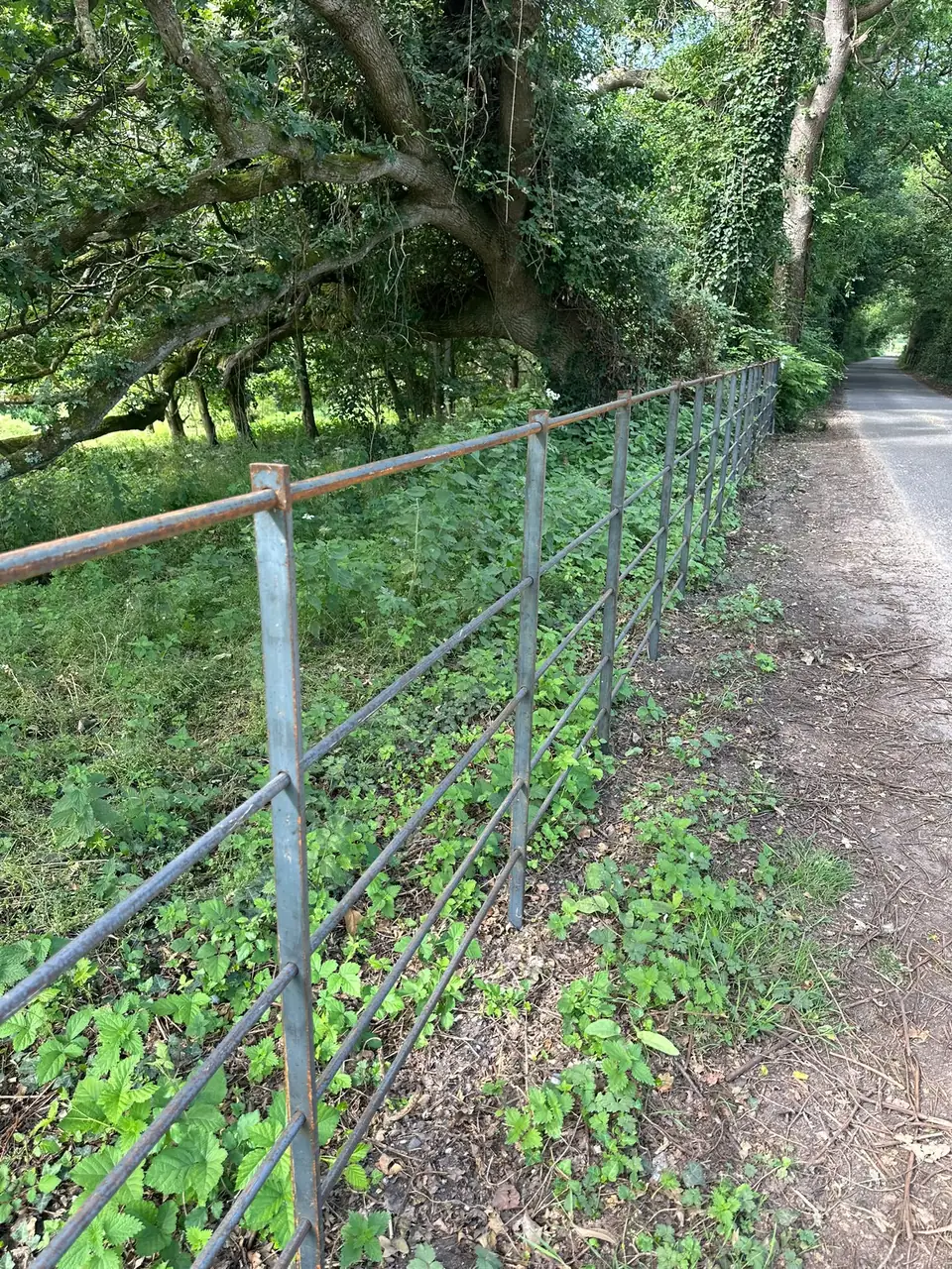 Steel estate railing stretching into the distance along a woodland lane